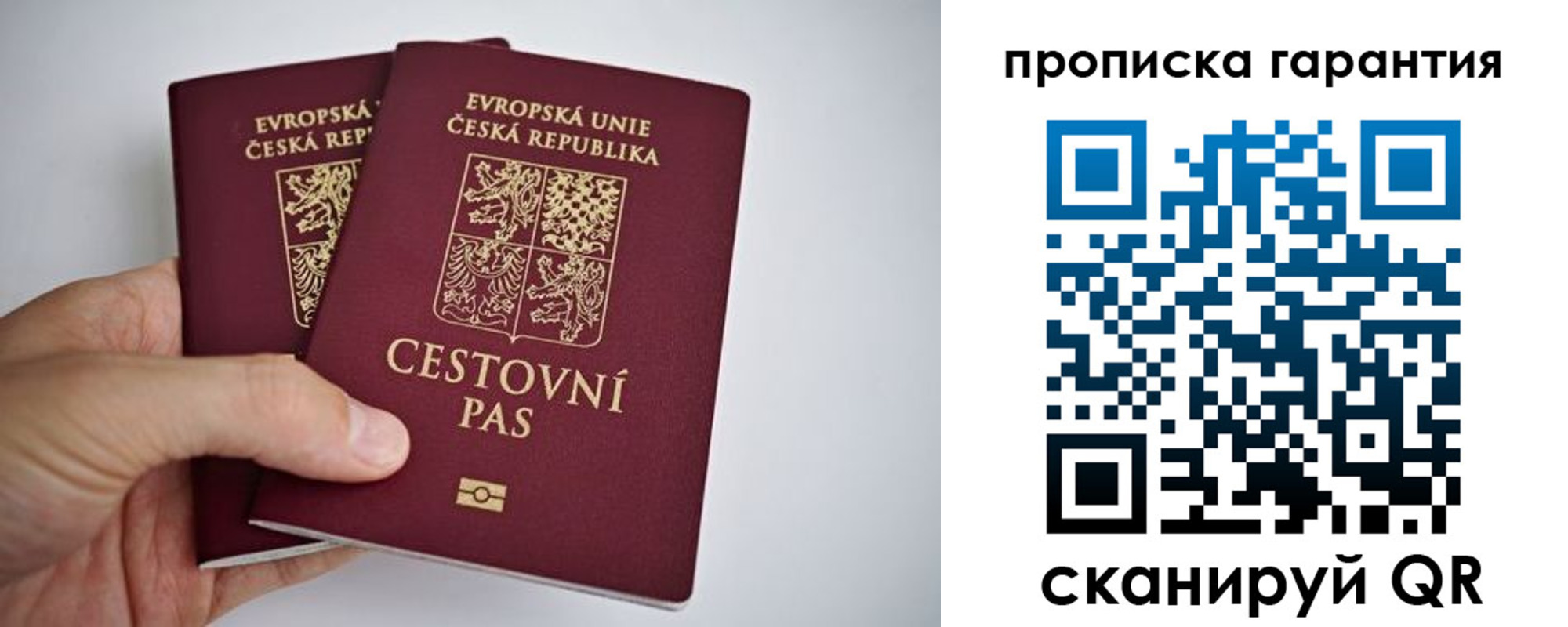 прописка в Бокситогорске